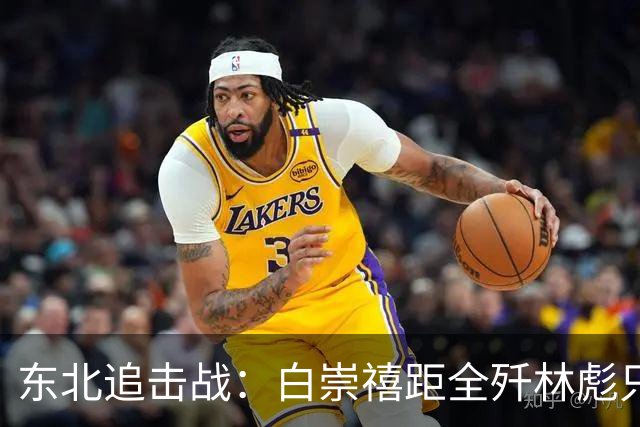 东北追击战：白崇禧距全歼林彪只差一道命令，历史差点被改写！