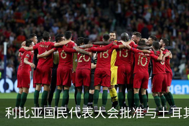 利比亚国民代表大会批准与土耳其海域划界协议，欧盟和希腊表达反对