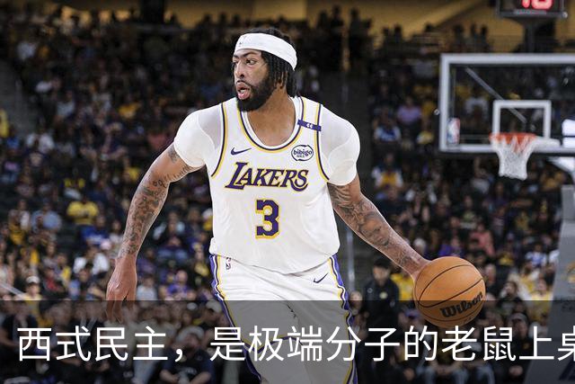 西式民主，是极端分子的老鼠上桌